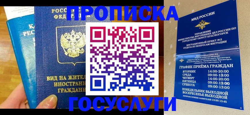 временная регистрация в квартире в Камчатской области
